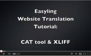 Website translation with Easyling & memoQ/XLIFF