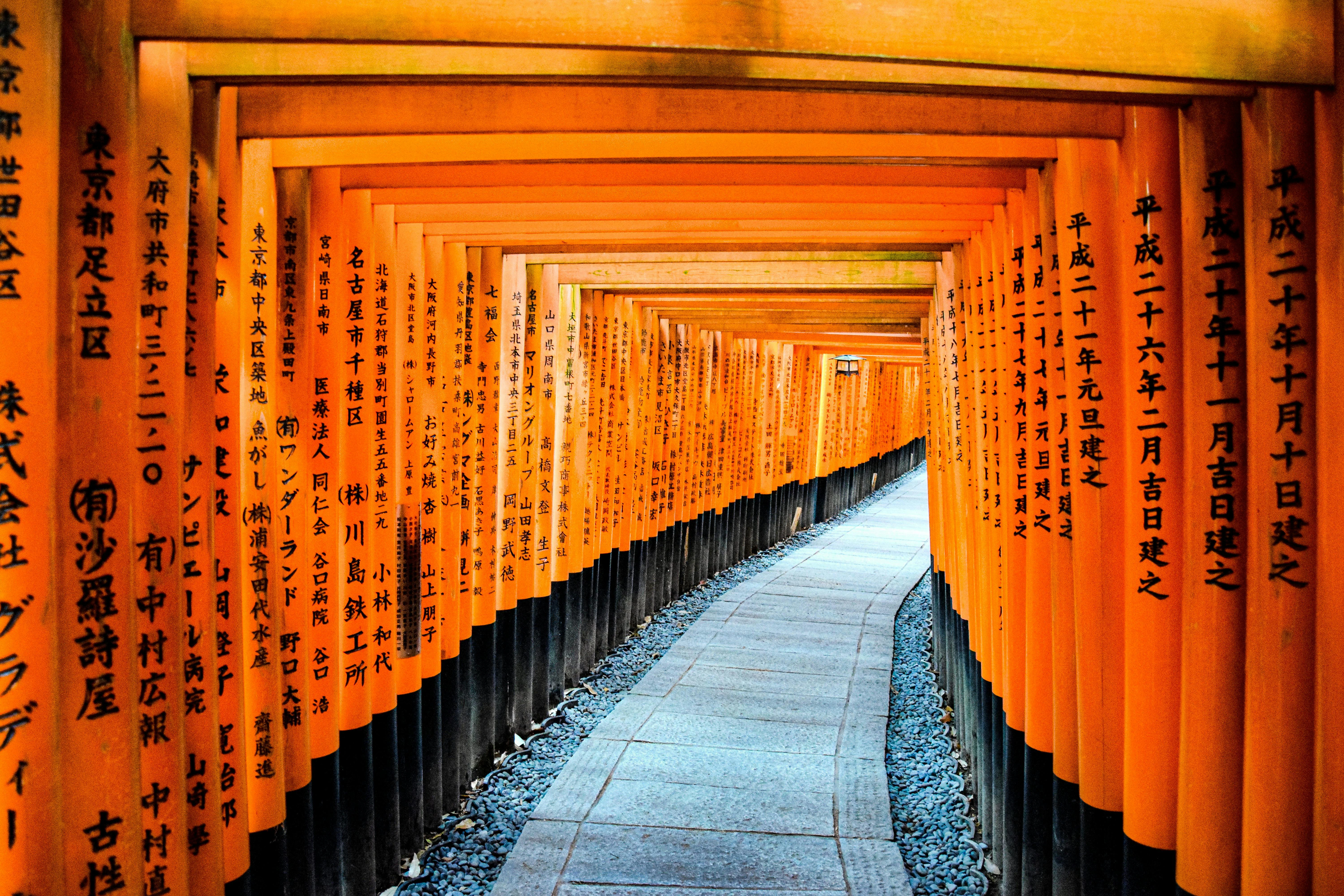 Torii Gates in Fushimi Inari Shrine, Kyoto, Japan