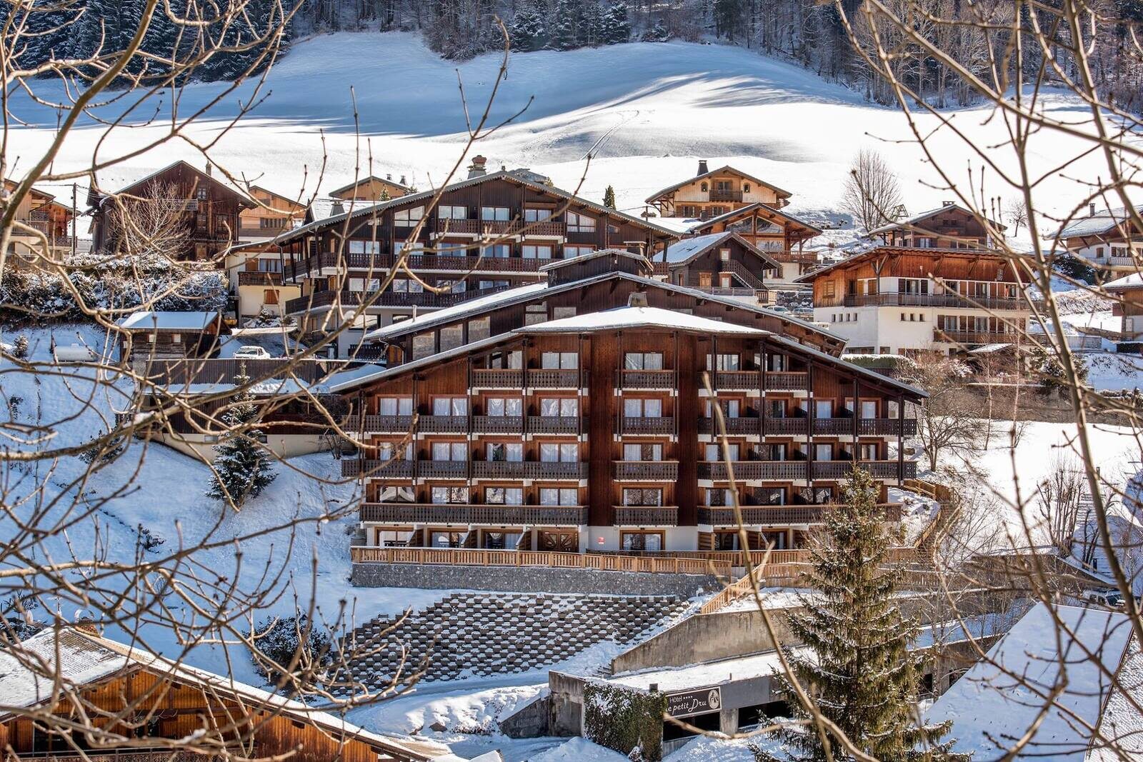 Le Petit Dru Hotel