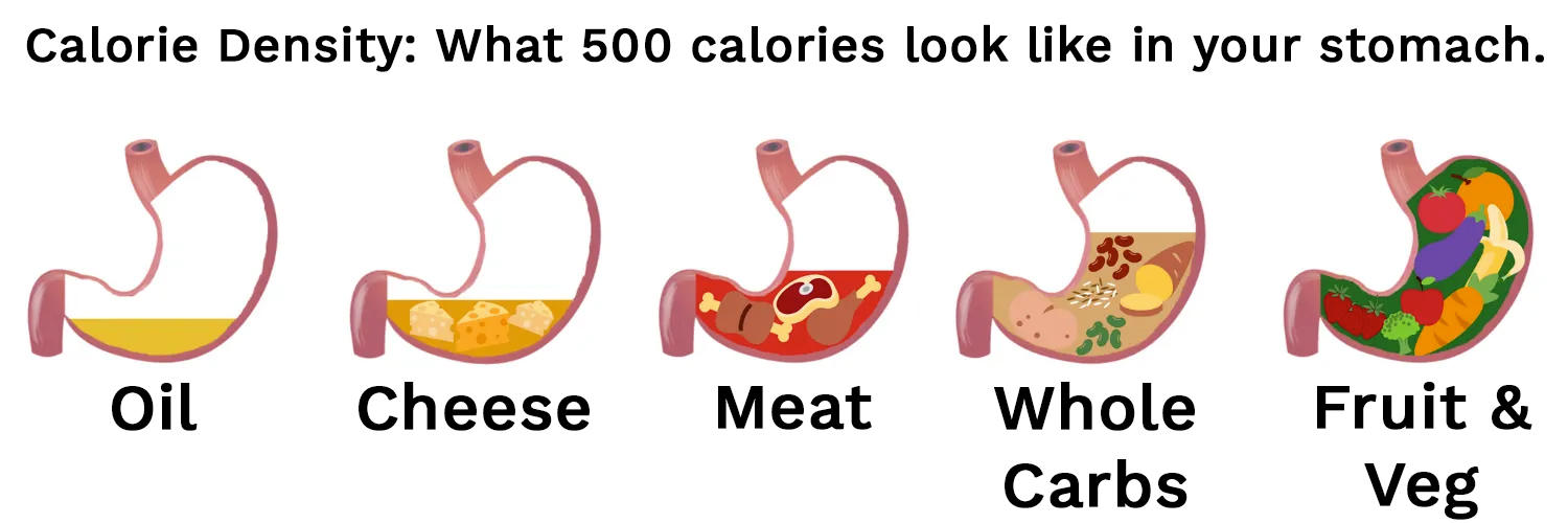 An infographic displaying how much room different calorie-dense foods take up in your stomach