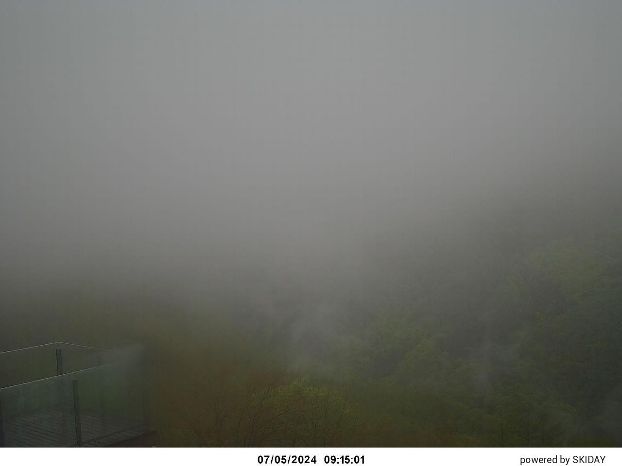 白馬コルチナ/Mt.ハーバーからの景色画像