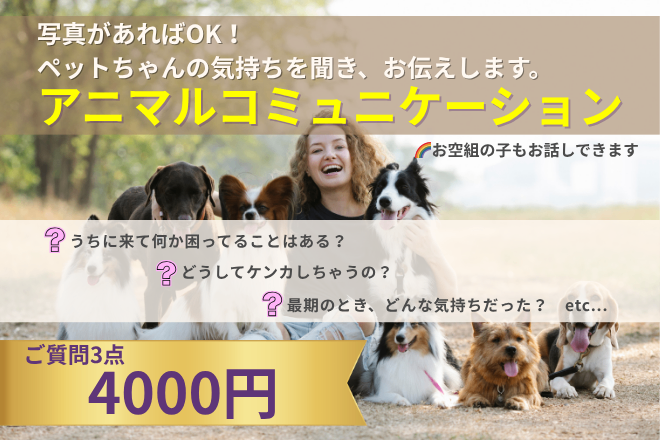 ペットの気持ちをお伝えします★アニマルコミュニケーション