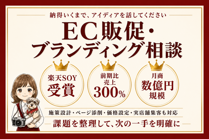 EC販促・ブランディングや施策設計などの課題を戦略に具体化！