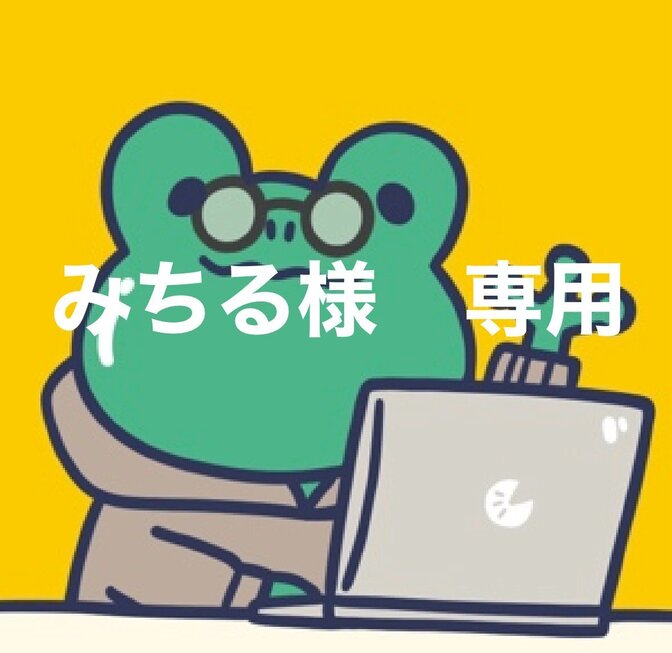 みちる　整理収納アドバイザー•PC講師様　専用案件