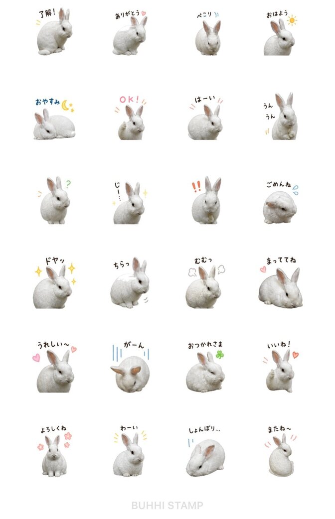 写真1枚からペットのLINEスタンプ作成します（AI使用）