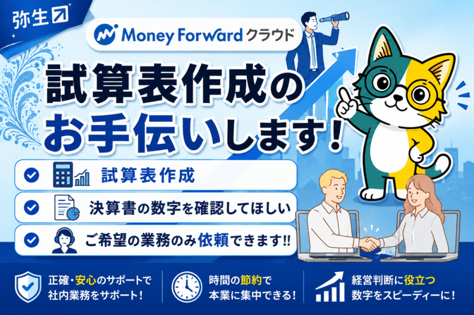 【記帳代行】試算表の作成をお手伝いいたします😉【毎月継続】