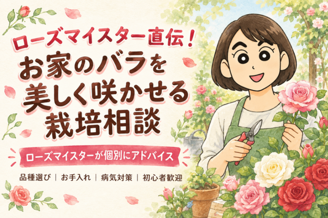 ローズマイスター直伝🌹！お家のバラを美しく咲かせる栽培相談