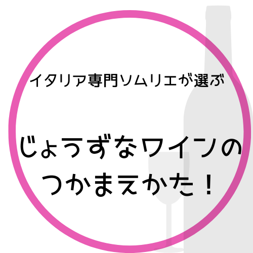 イタリア専門業界ソムリエがイタリアワイン選びをお手伝いします