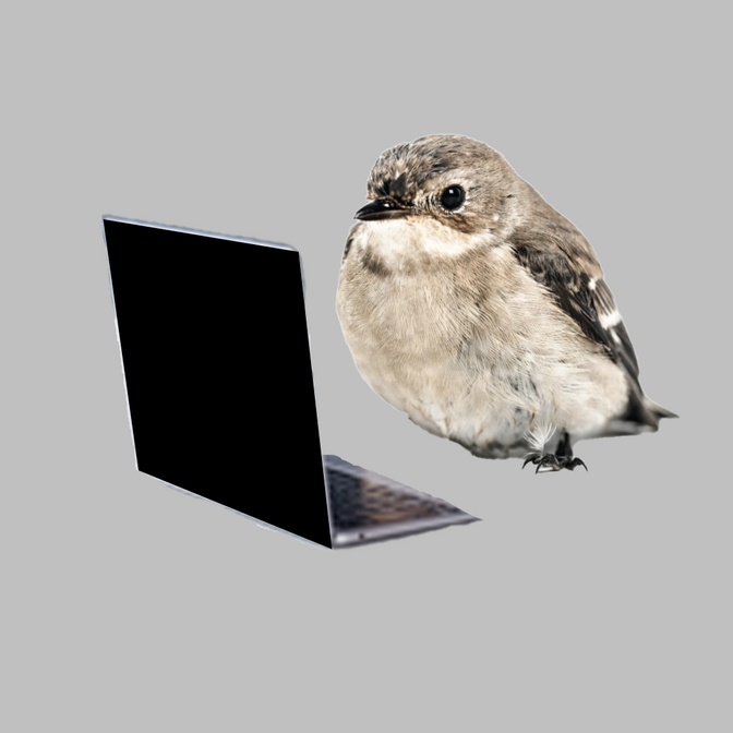 【初心者向け】.NETアプリの作成