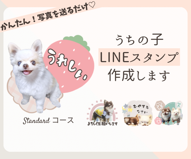 お写真からLINEスタンプをお作りします。🌸スタンダード