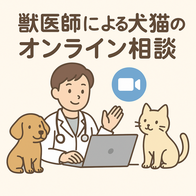 動物のプロ、獣医師による犬猫のオンライン健康相談サービス！