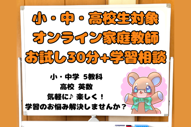 【気軽にお試し♪】オンライン家庭教師30分体験授業＋学習相談