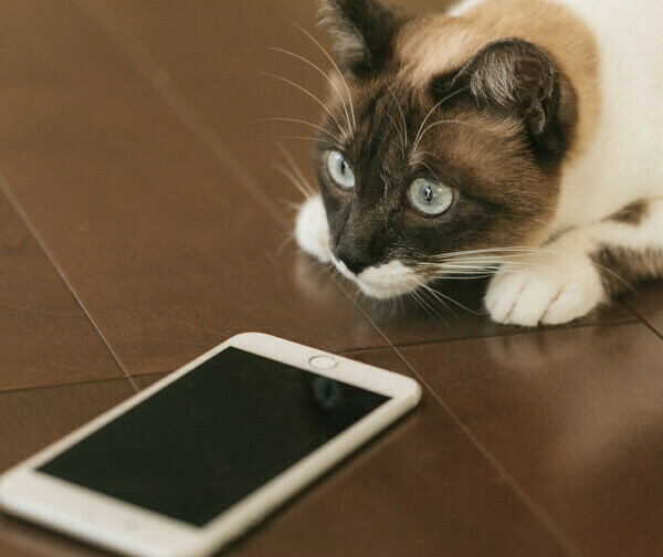 スマホアプリ開発します！まずはお気軽にご相談下さい！！