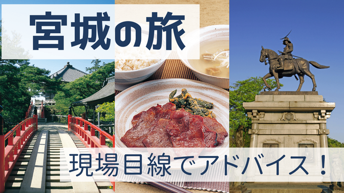 【宮城旅行】現場目線で計画アドバイス🌱