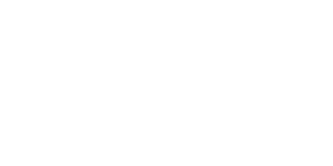 Shopify Partner