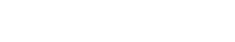 skinpoint logo wit