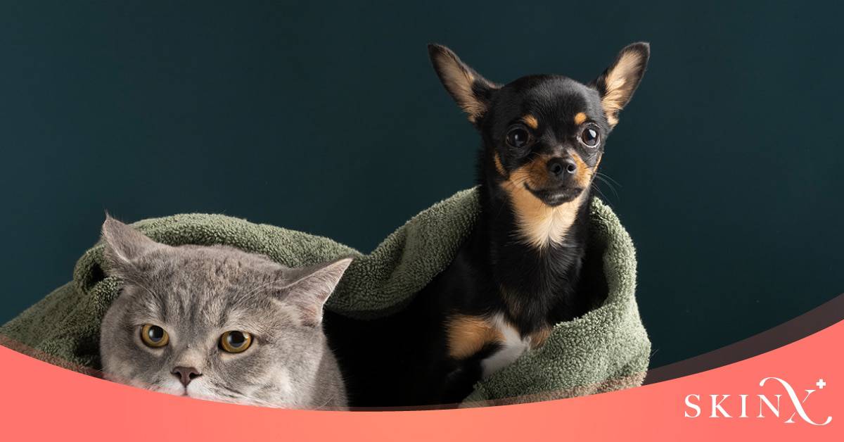 ปัจจัยเสี่ยงที่ทำให้เกิดเชื้อราบนหนังศีรษะ