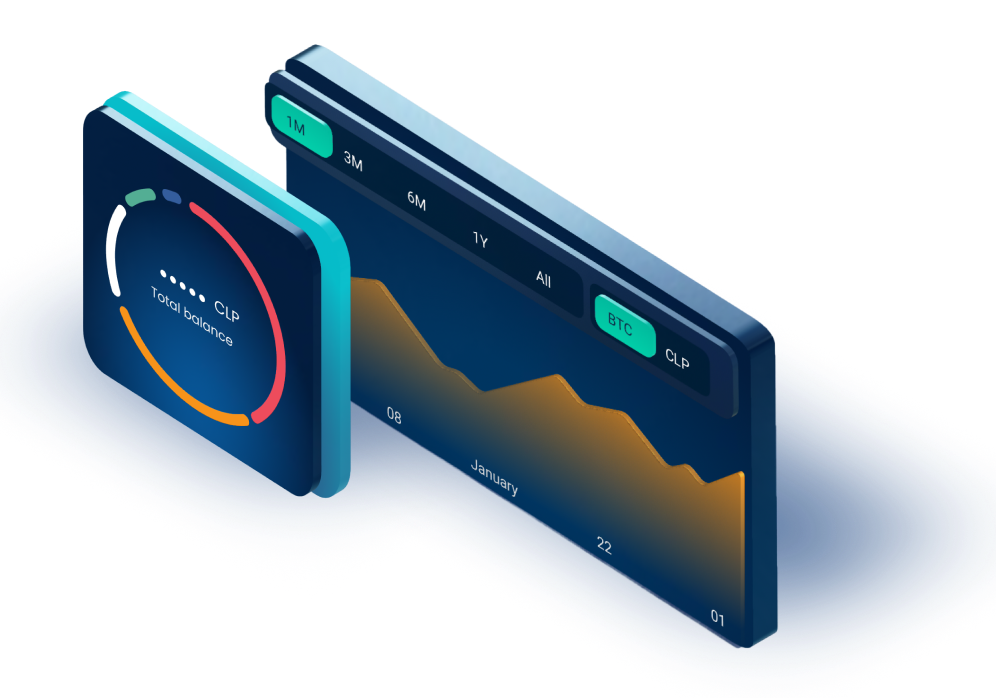 Skipo app showing currency distribution and balance variation