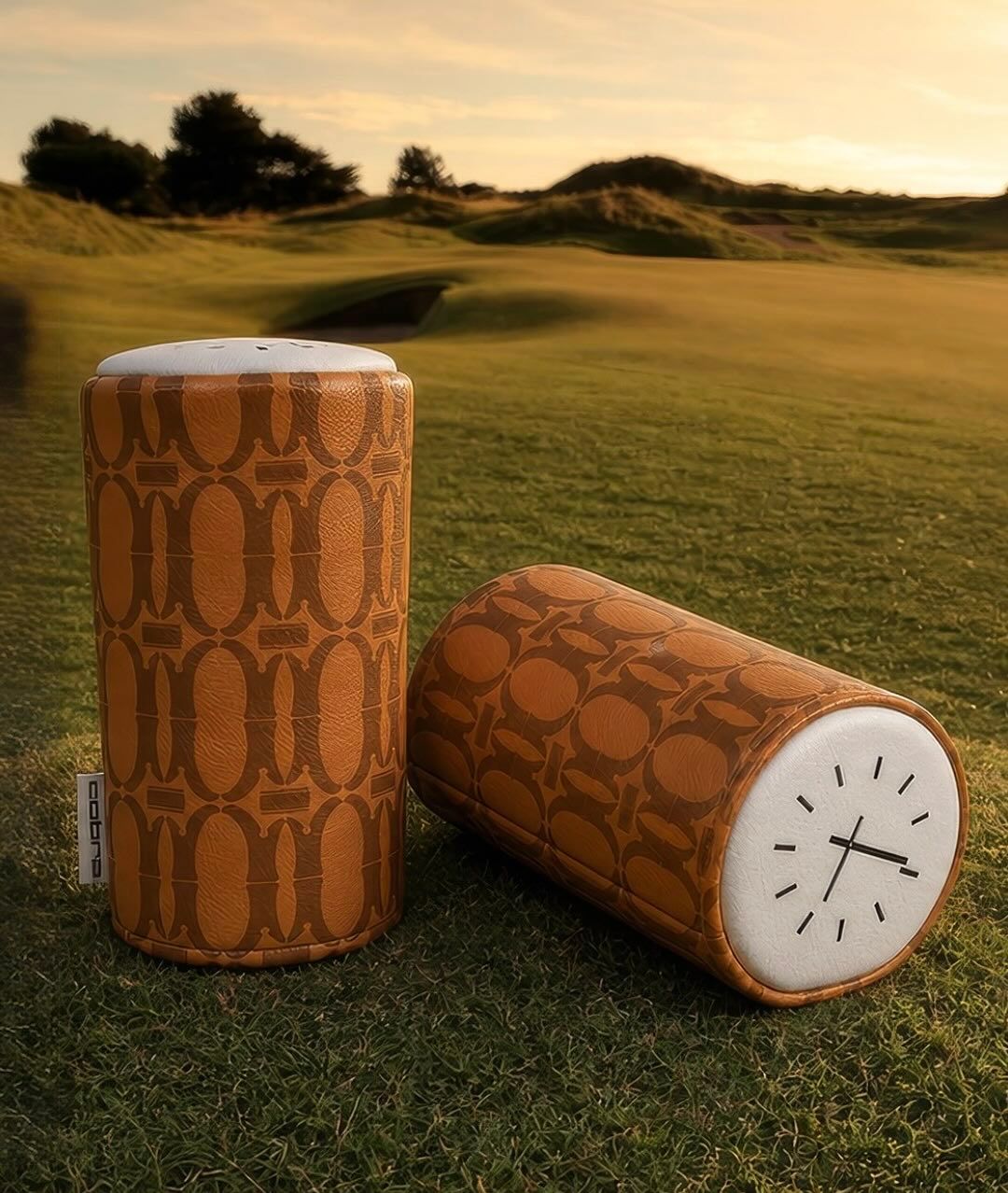 Two cylindrical log-shaped items, one with a clock face, on green grass.