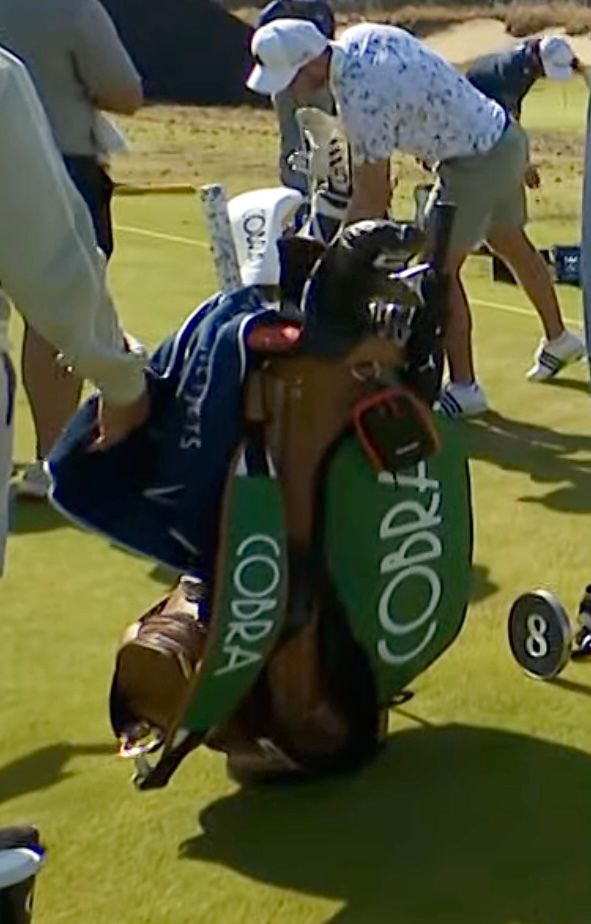 Brown and green Cobra golf bag rests on a sunny golf course with people nearby.
