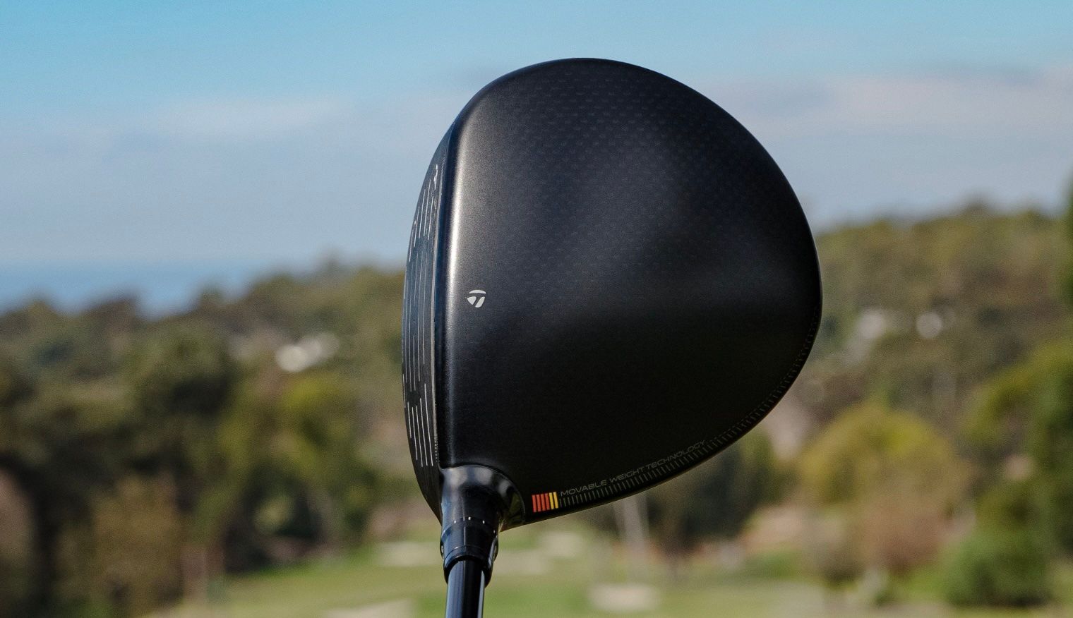R7 mini crown.jpg