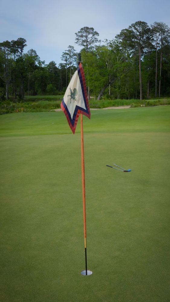 Blog image 6