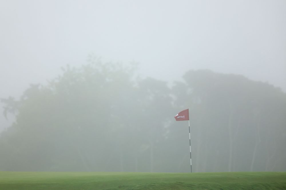 Blog image 4