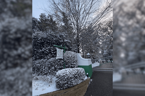 Magnolia Lane Looks (Somehow) Even Better Covered in Snow