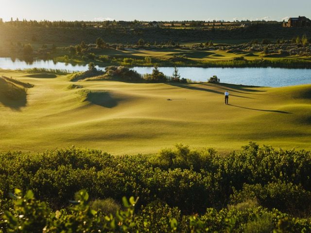 tethrow 4 Medium.jpeg