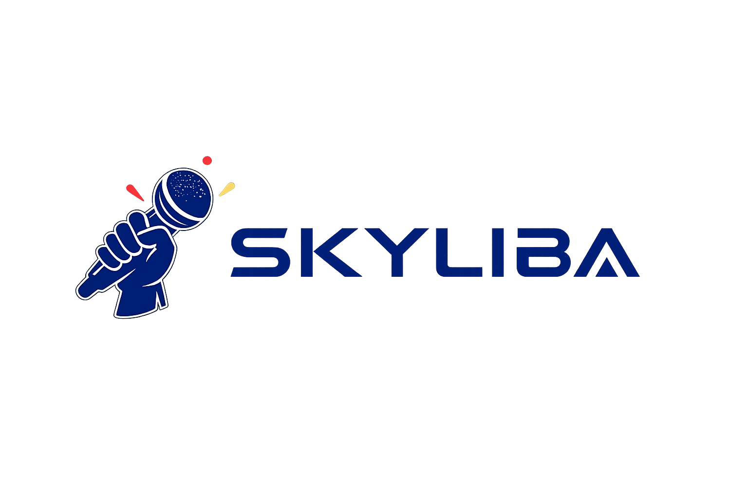 Formation artiste sur utilisation Skyliba
