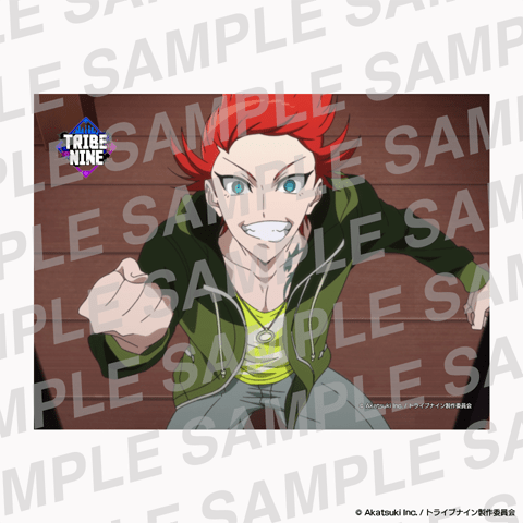 希少　トライブナイン　ブロマイド　特典　アニメイト　神谷瞬　青山カズキ　園田 MIYAVI】1/10(月・祝)よりテレビアニメ放送&配信スタート