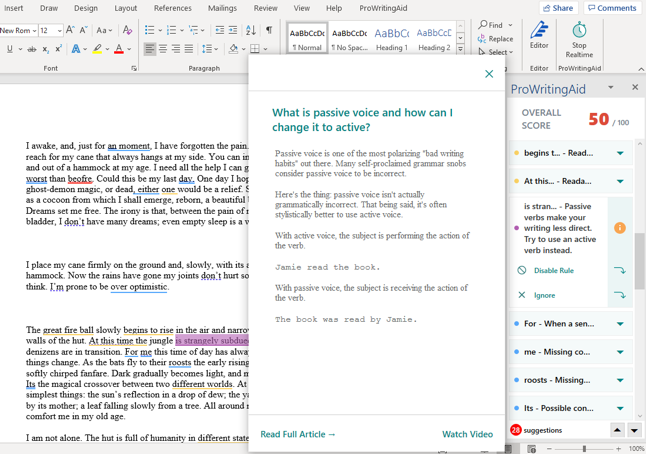 ProWritingAid for Microsoft Word