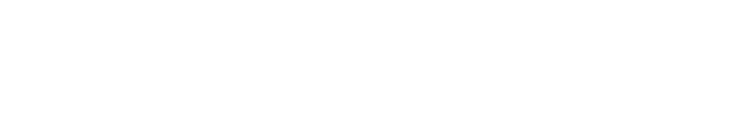 SLS Freight