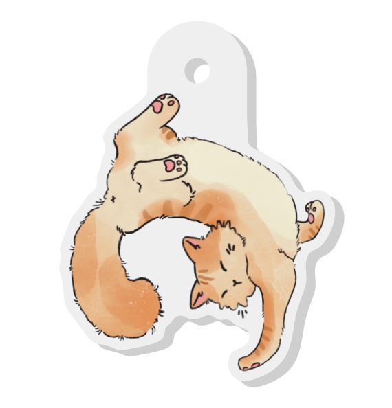 Acrylic charms