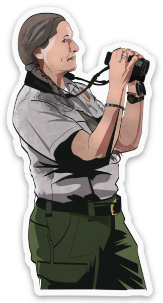 Die cut stickers