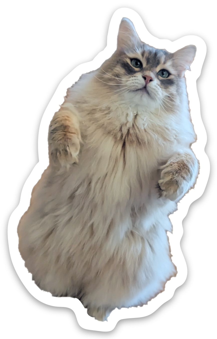 Uitgesneden stickers