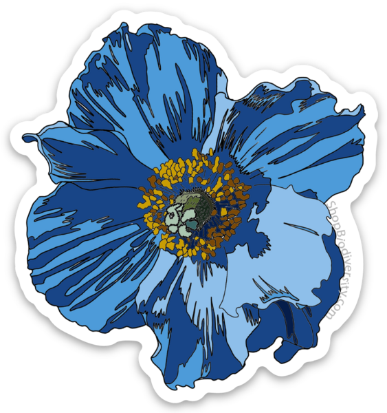 Die cut stickers