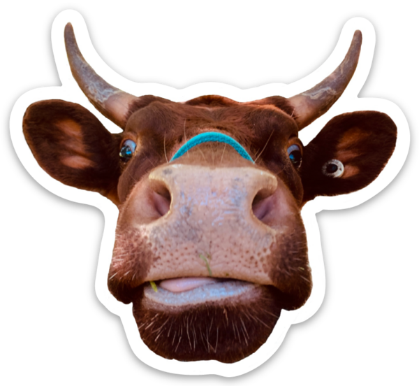 Die cut stickers
