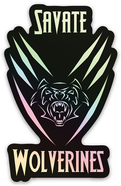 Holographic stickers