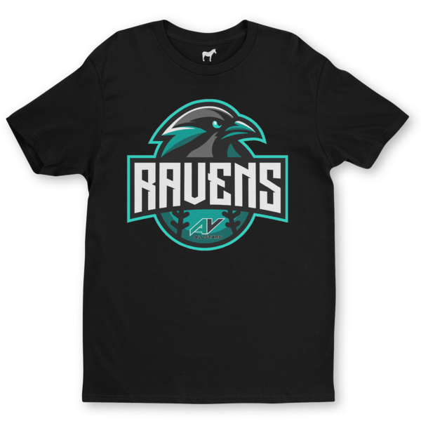 Camisetas