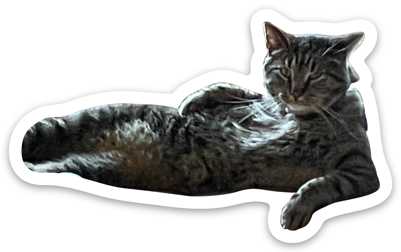 Die cut stickers