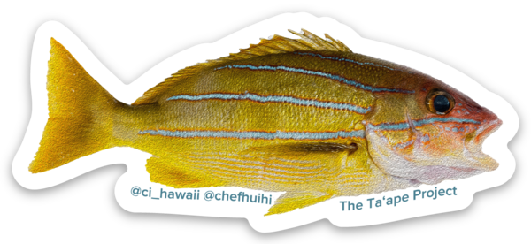 Uitgesneden stickers