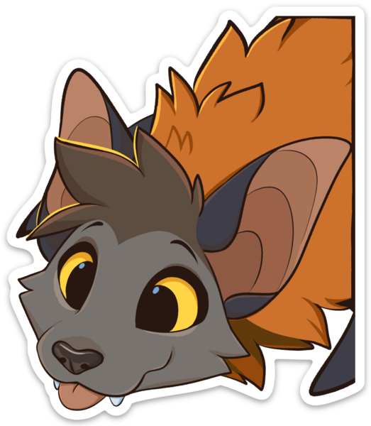 Stickers para parachoques