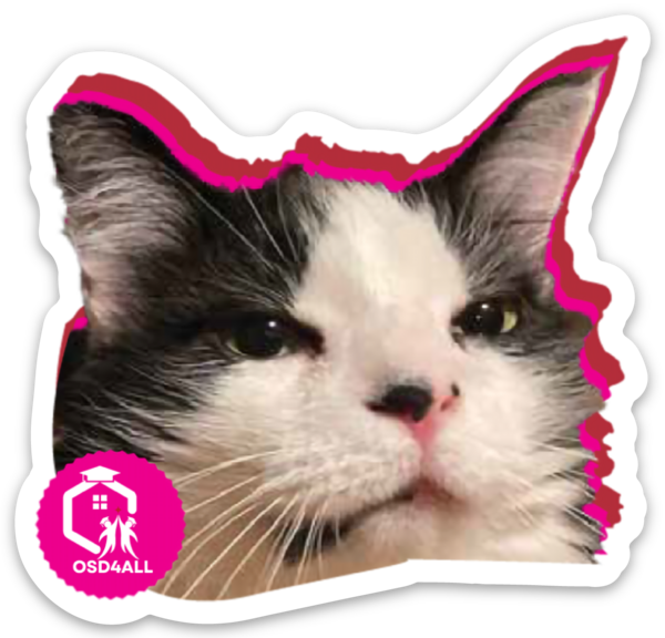 Die cut stickers