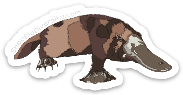 Uitgesneden stickers