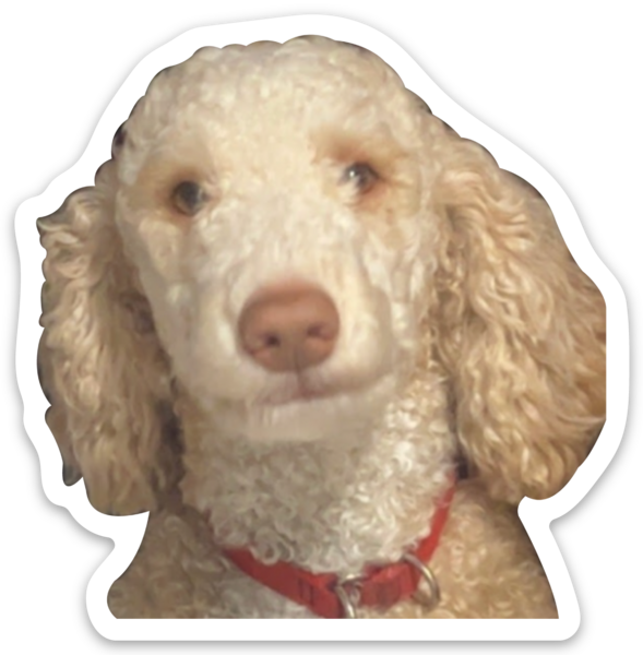 Stickers découpés à la forme