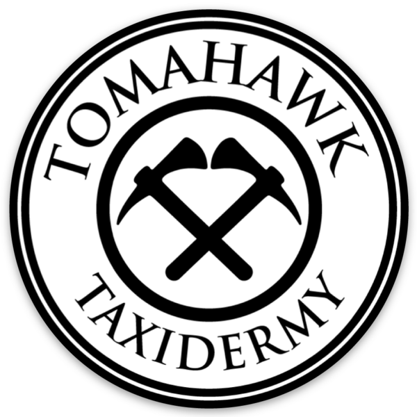 Uitgesneden stickers