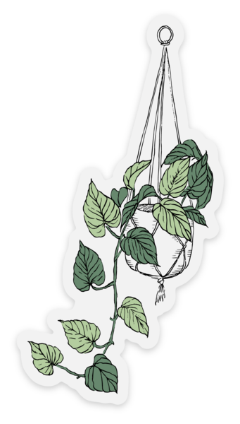 Stickers transparents