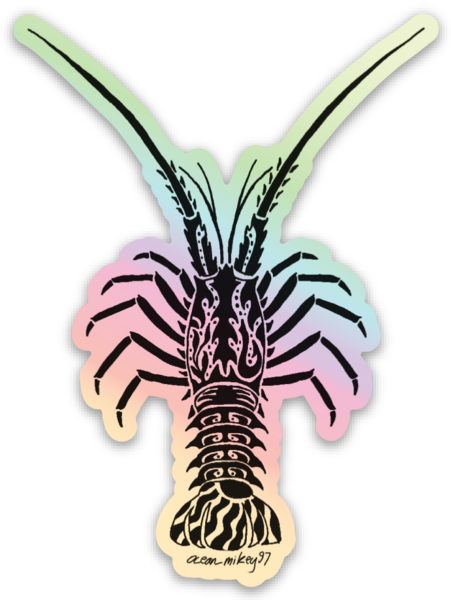 Stickers holographique