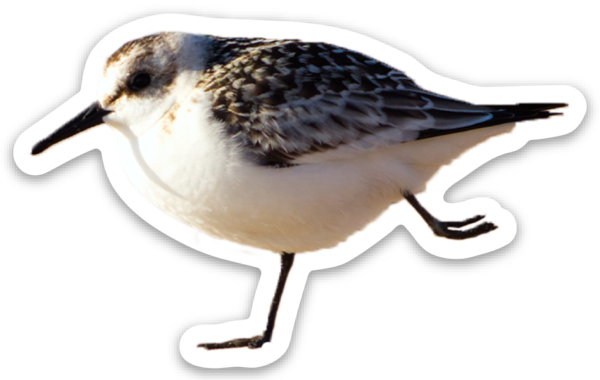 Die cut stickers